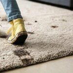 Quick and Easy Tips to Clean Your Messy Carpet