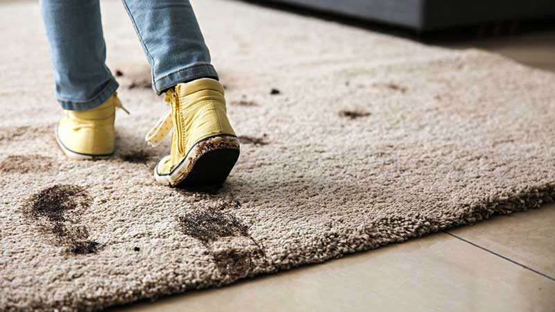 Quick and Easy Tips to Clean Your Messy Carpet
