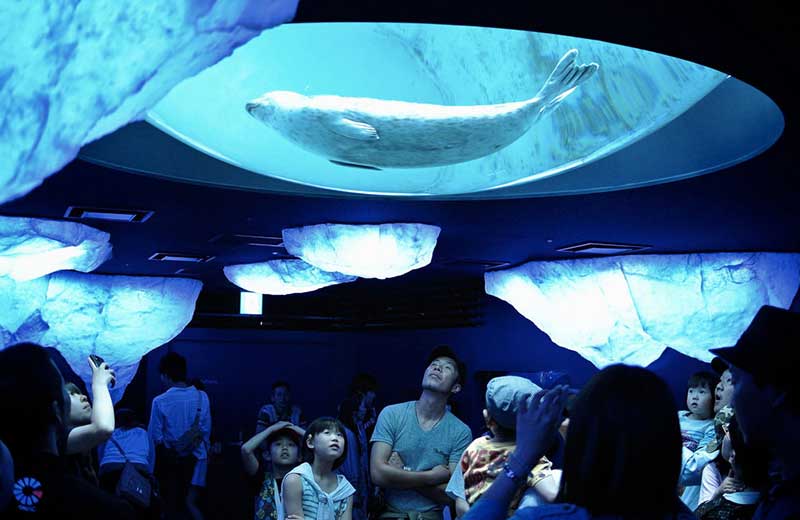 Explore Osaka Aquarium Kaiyukan