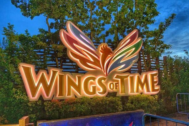 Experience the Spectacular Wing of Time Show